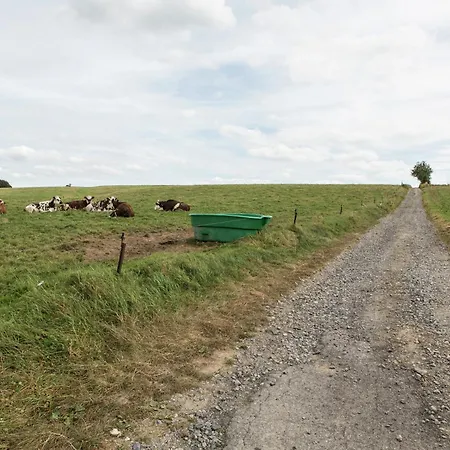 Luxury Ardennes Chalet *